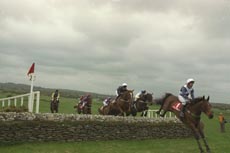 24 Apr 1997: Risk of Thunder leads the field at Punchestown in Ireland. Julian Herbert /Allsport